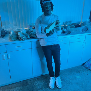 5 PERCENT (Explicit)