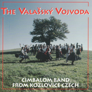 The Valassky Vojvoda Cimbalom Band