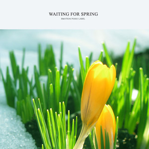 Waiting For Spring