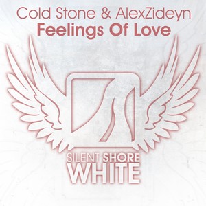 Feelings Of Love (Original Mix)