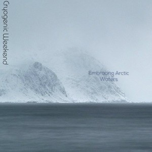 Who Couldn't Remember