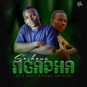 Soshona Ngapha (feat. Tgee Rsa)
