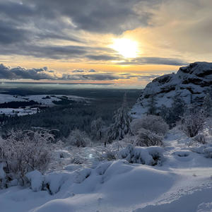 Loyal (feat. allstarsaint) (Explicit)