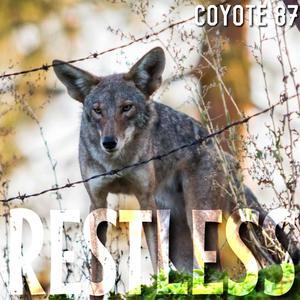 Yeah, I've Got Momentum (feat. Polina Kermesh)