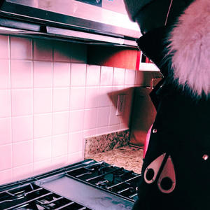 No Diss (feat. AliasFlyYnn & Rakkionz) (Explicit)