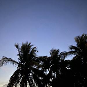 FILTHY RICH FREESTYLE (Explicit)