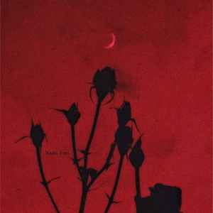 耳朵加油站 - 伏黑甚尔进行曲 (DJ版)