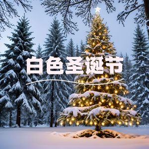 我们祝你圣诞节快乐