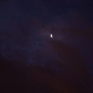 ******* (feat. Lil cigar & Lao) (Explicit)