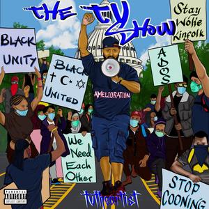 The N.I.G.G.A(feat. MoeMinistry) (Explicit)