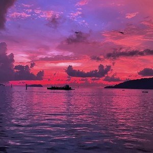 The Other Side Of Paradise(喜鹊案)-红线redline