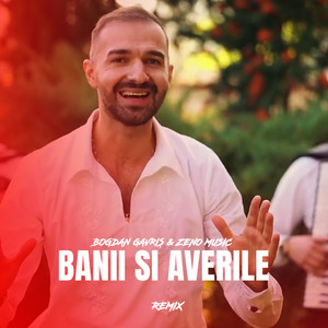 Banii si Averile (Remix)