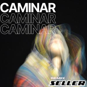Caminar (feat. Seller de Kaut) (Remix)