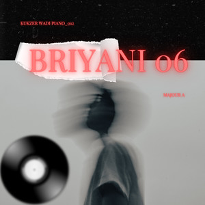 Briyani06