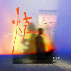 烧（Burning out）