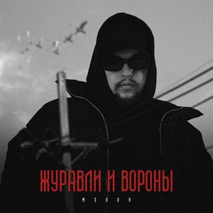 Журавли и вороны (Explicit)