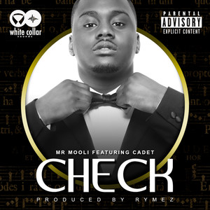 Check (feat. Cadet) [Explicit]