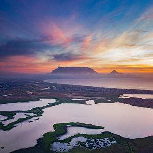 Lie Down Brown Quick Sleep Noise