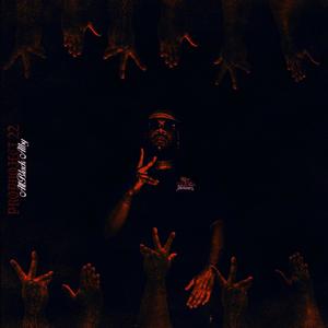 Project 22 (Explicit)