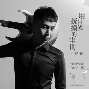 用目光抚摸的尘世