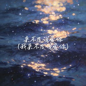 来不及说爱你（我来不及说爱你）