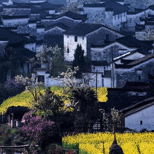 南下麓下有汪家