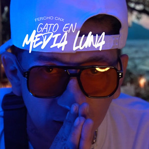 GATO EN MEDIA LUNA
