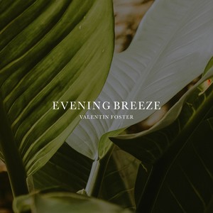 Evening Breeze
