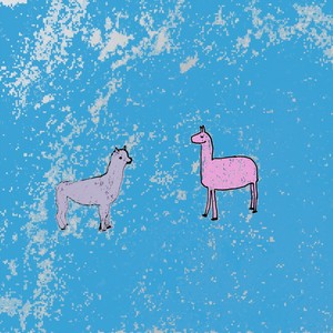 Llama Alpaca