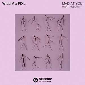 Mad At You(feat. Pillows)