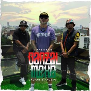 Danzal Mexa (feat. Jalfab, Fausto Roots & Voxsayab)