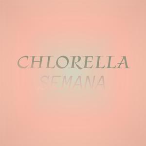 Chlorella Semana