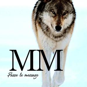 Passe le message (Explicit)