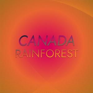 Canada Rainforest