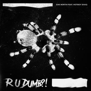 R U DUMB (feat. Hotboy Shaq) [Clean Version] [Explicit]