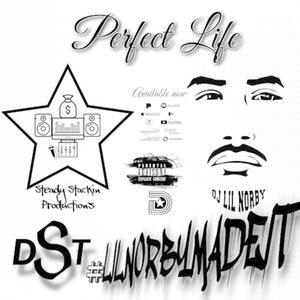 Perfect Life (feat. Dj Lil Norby) (Explicit)