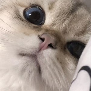 是爱自然长封面
