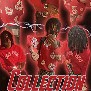 Collection (Explicit)
