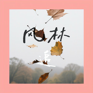 风林·追