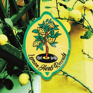 They Think (Avidel Remix)