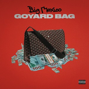 Goyard Bag (Explicit)