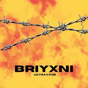 BRIYXNI