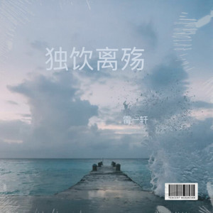 独饮离殇 伴奏 (伴奏)
