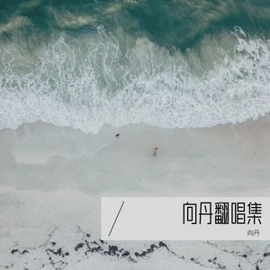 目击者-向丹