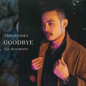 Goodbye (feat. Wes Denny) (Radio Edit)