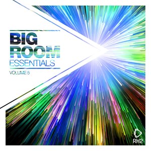 Big Room Essentials, Vol. 5