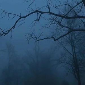 twopacks(feat. Vanlovesu, HiiArchive & Vertcocet) (Explicit)