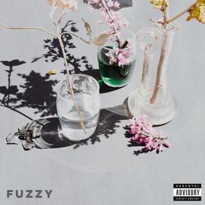 fuzzy (Explicit)