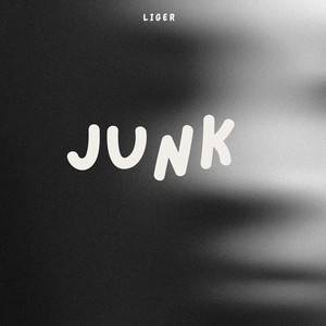 Junk
