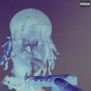 WTF is det? (feat. izayaprod) (Explicit)